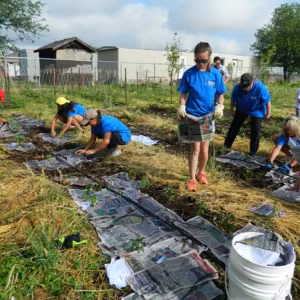 Food Bank Garden
